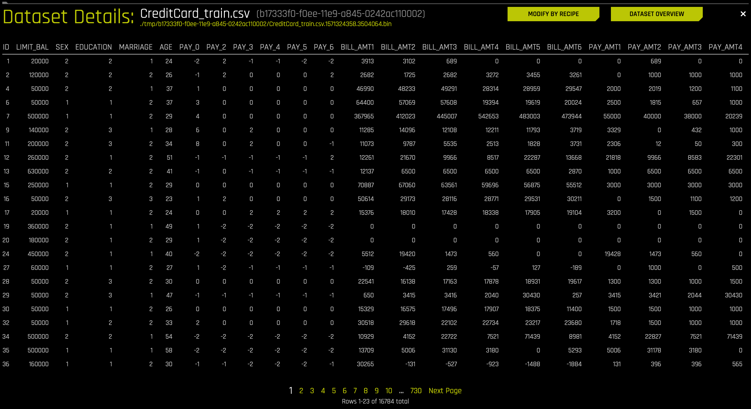 Dataset Rows