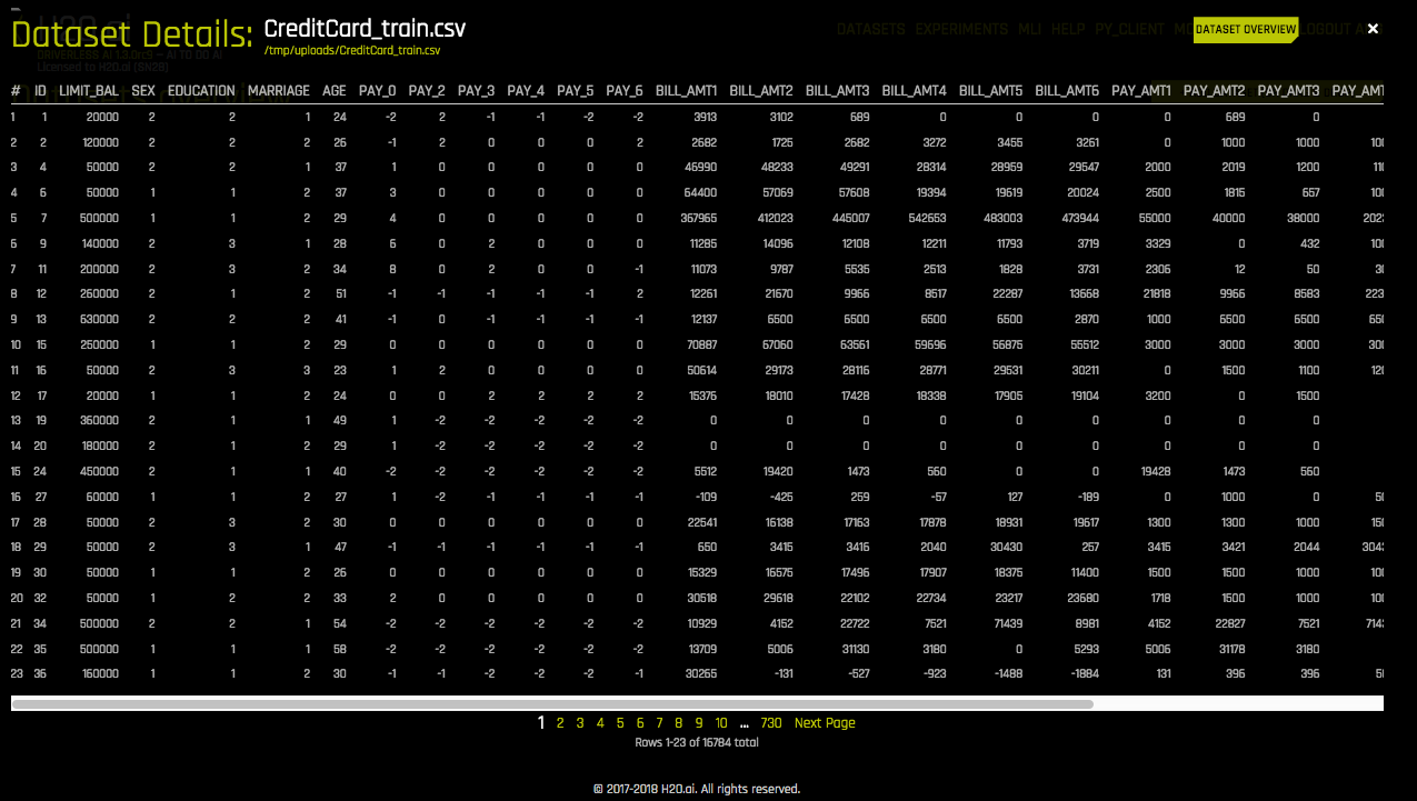 Dataset Rows