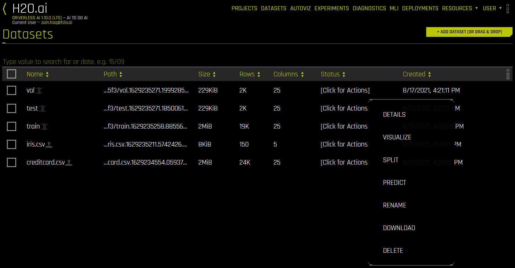 Datasets action menu