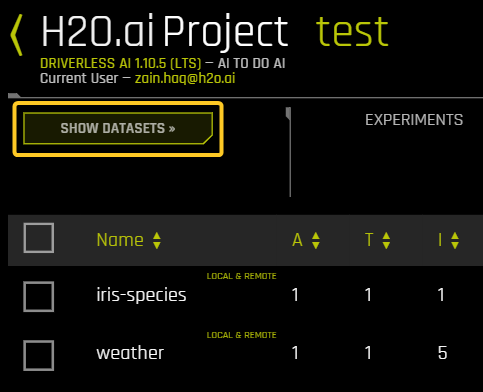 The Show Datasets button on the Project page