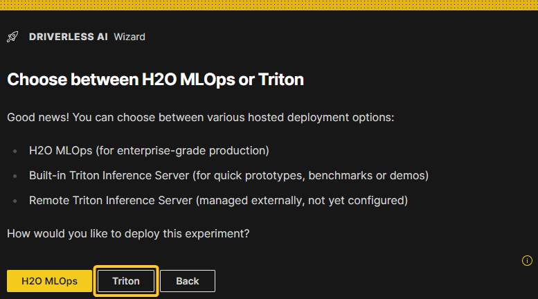 Triton deployment option