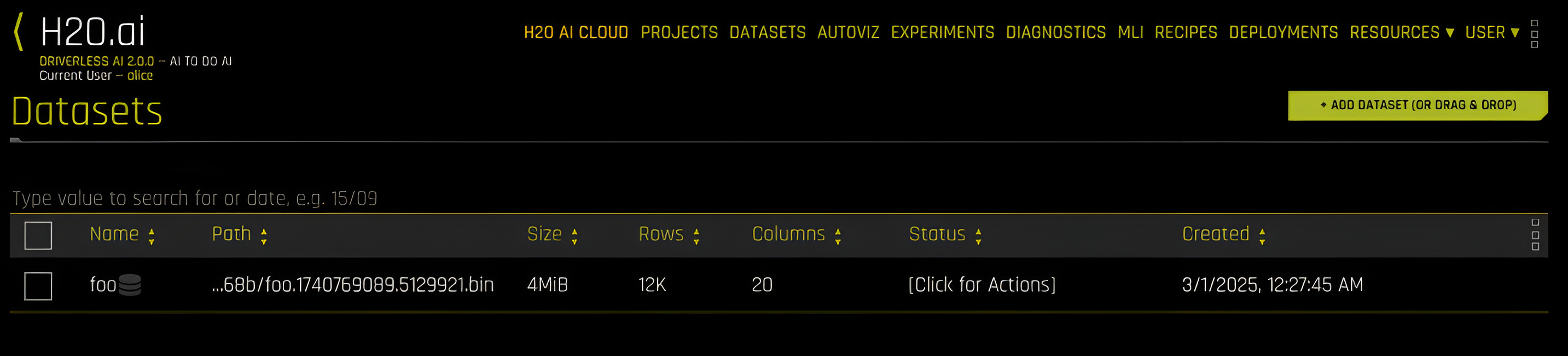 Databricks dataset