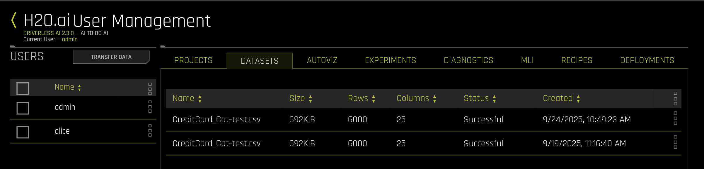 Entity panel showing user datasets