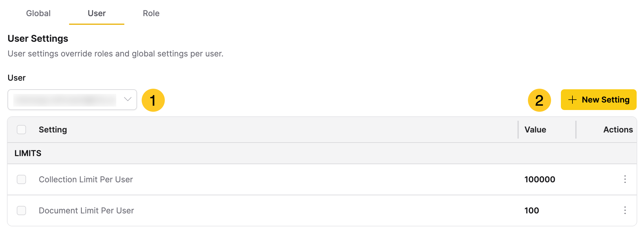 Add User Setting dialog