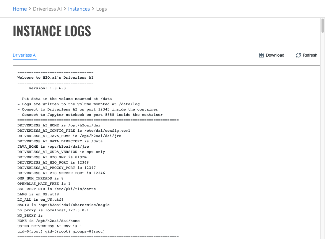 Driverless AI instance logs