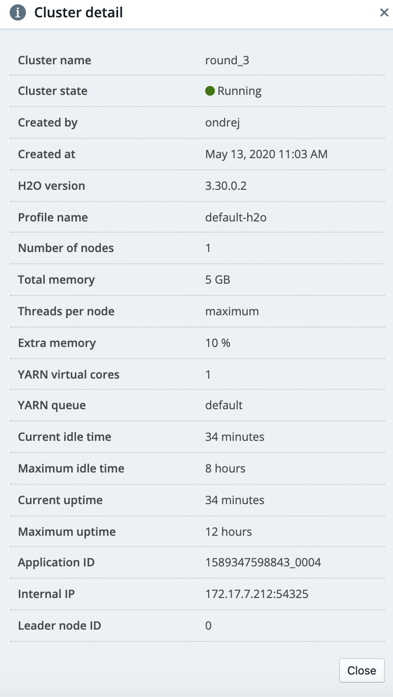 H2O cluster details