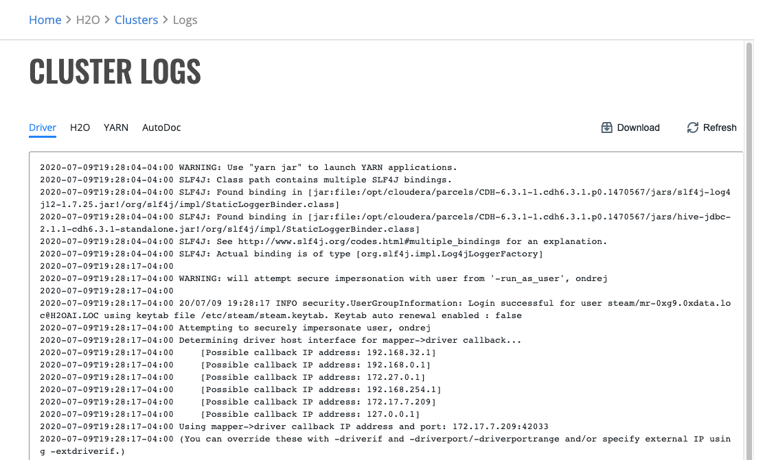 H2O cluster logs