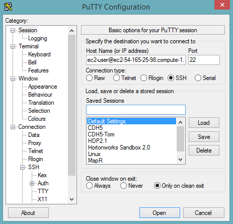 PuTTY session host name configuration