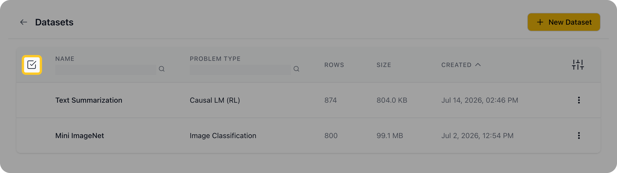 Checkbox icon on the Datasets list