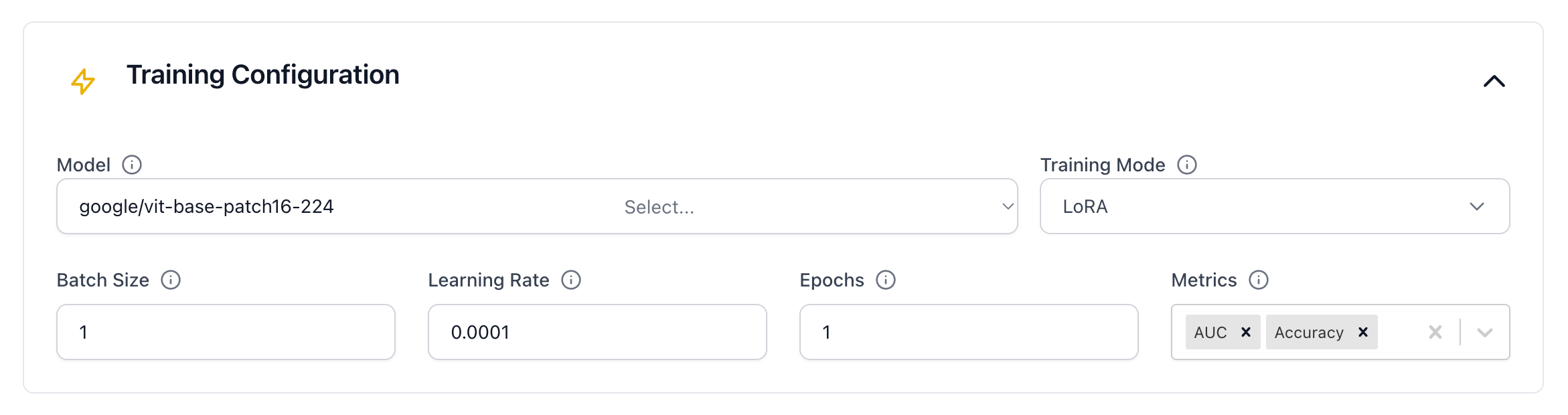 Training Configuration section with the Model, Training Mode, Batch Size, Learning Rate, Epochs, and Metrics fields