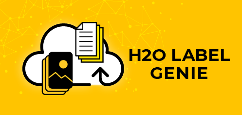 H2O Label Genie logo